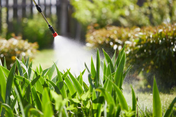 24/7 Emergency Cockroach Control experts in McMinnville, OR